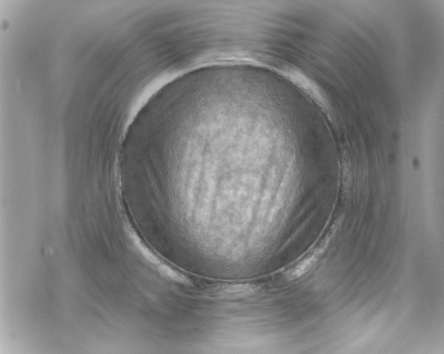 X0000075831382200609291411