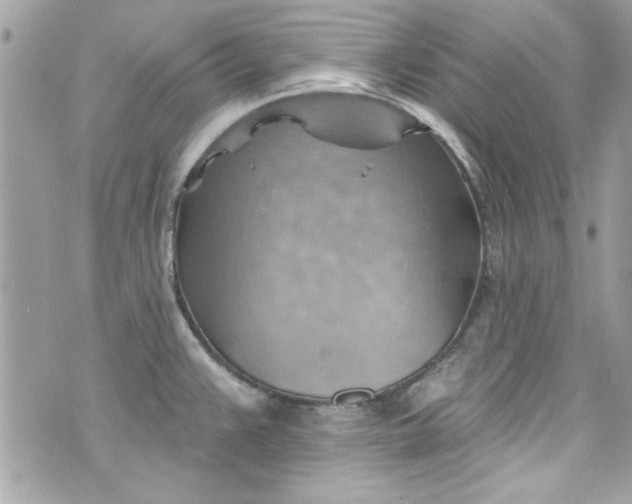 X0000075831383200609291411