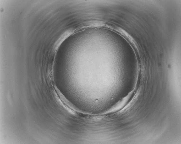 X0000075831385200609291411