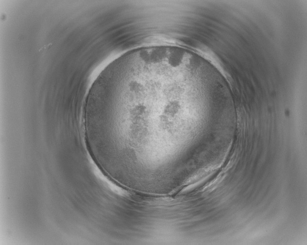 X0000075831387200609291411