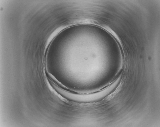 X0000075831389200609291411