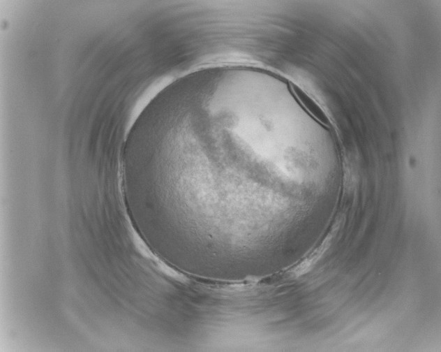 X0000075831390200609291411