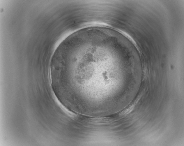 X0000075831391200609291411