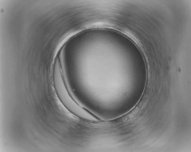 X0000075831392200609291411