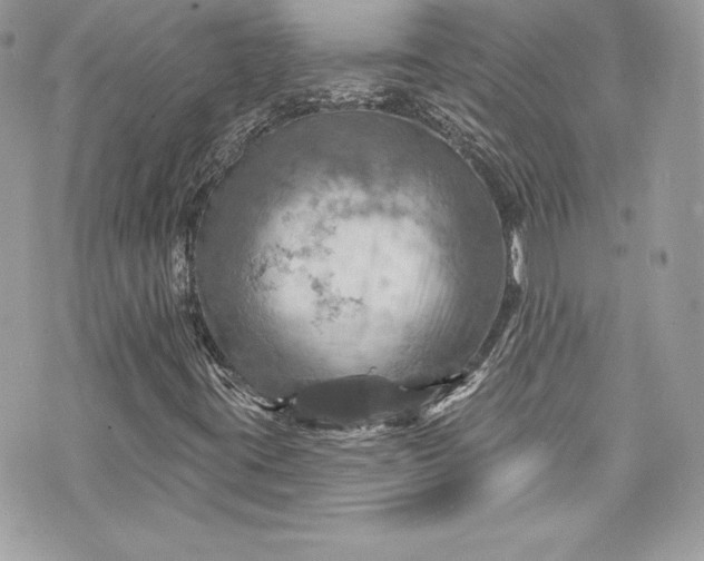 X0000075831395200609291410