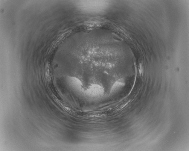 X0000075831396200609291410