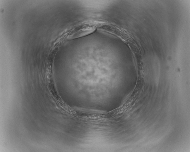 X0000075831397200609291410