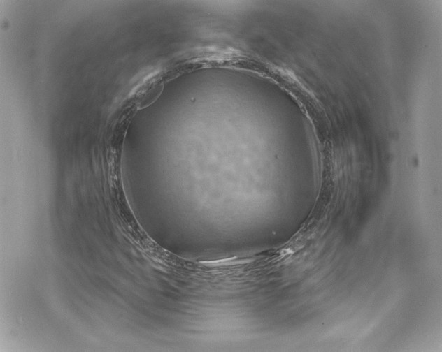 X0000075831399200609291410