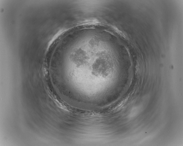 X0000075831400200609291410