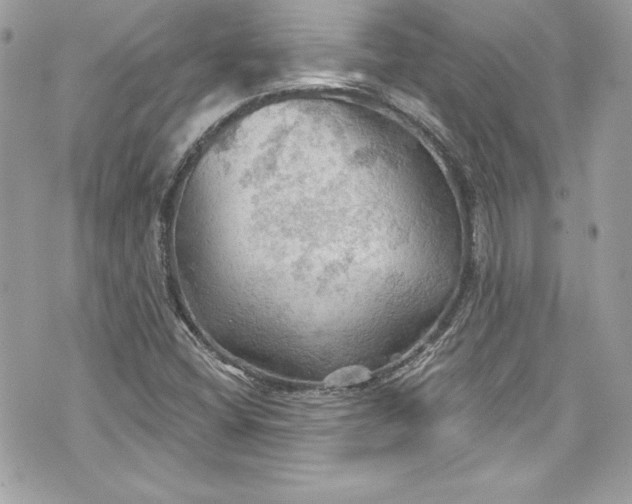 X0000075831404200609291410