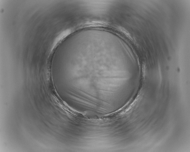 X0000075831405200609291410