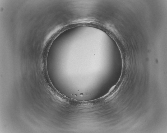 X0000075831406200609291410