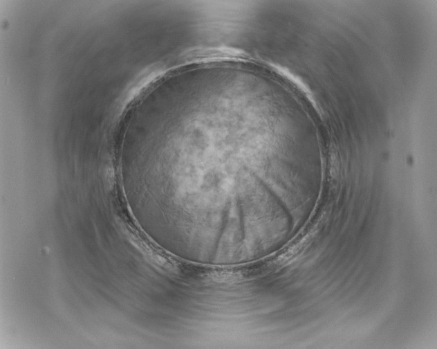 X0000075831407200609291410