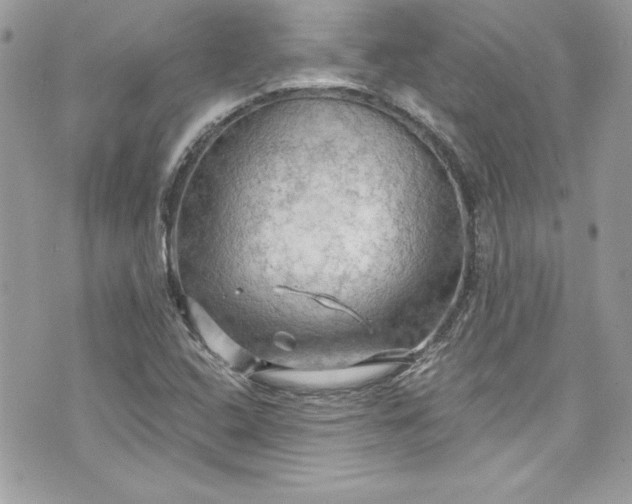 X0000075831408200609291410