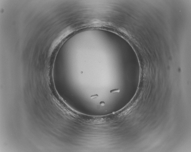 X0000075831410200609291410