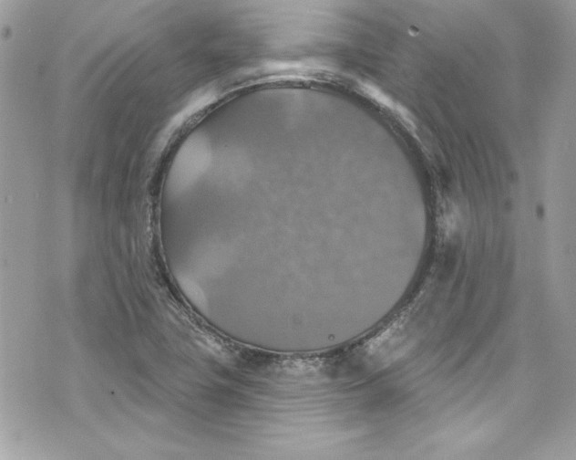 X0000075831411200609291410