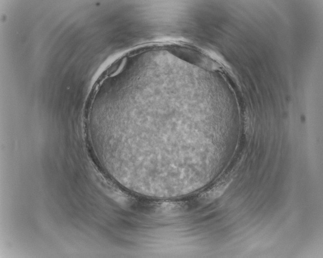 X0000075831412200609291410