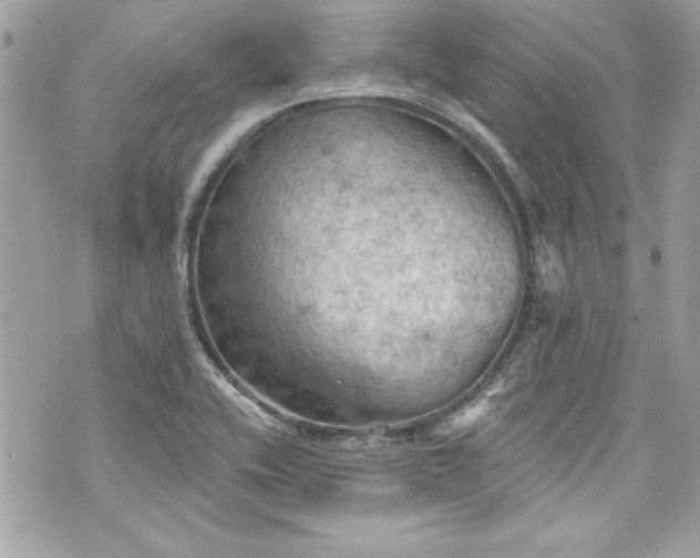 X0000075831416200609291410