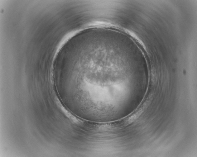 X0000075831421200609291410