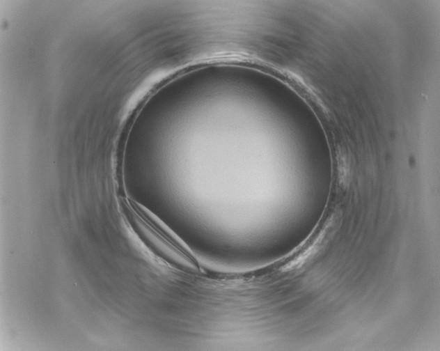 X0000075831422200609291410