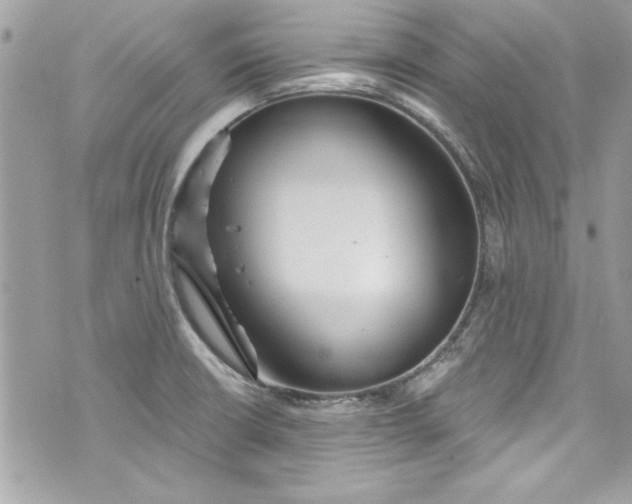 X0000075831426200609291410