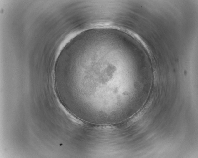 X0000075831432200609291411