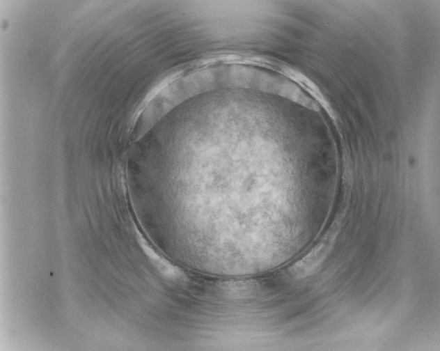 X0000075831433200609291411