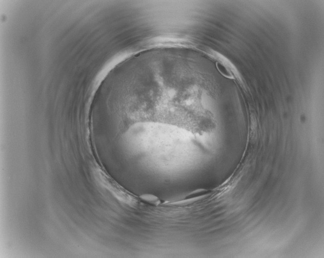 X0000075831435200609291411