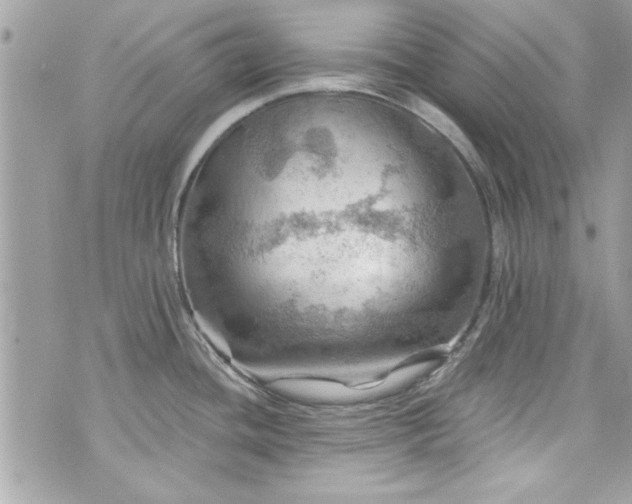 X0000075831436200609291411