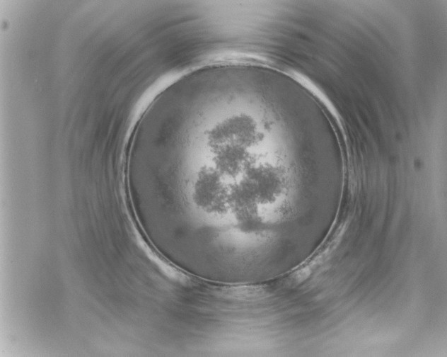 X0000075831437200609291411