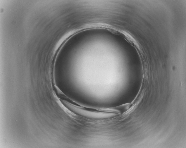 X0000075831438200609291411