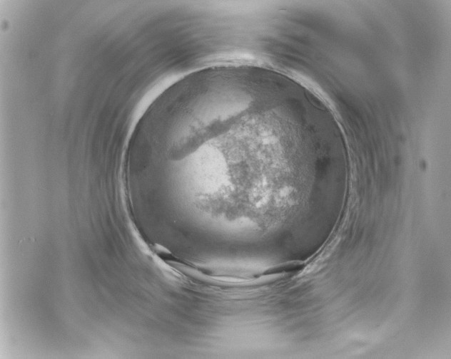 X0000075831440200609291411