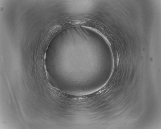 X0000075831441200609291410