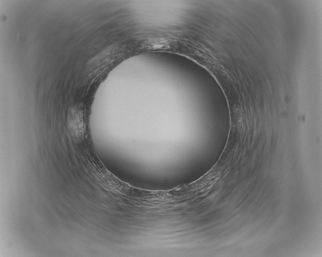 X0000075831442200609291410