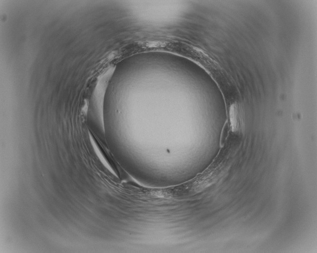 X0000075831443200609291410