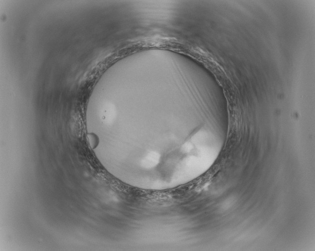 X0000075831446200609291410