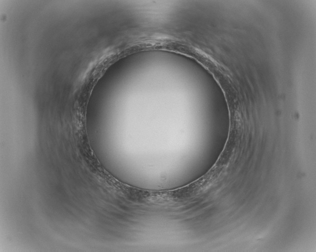 X0000075831447200609291410