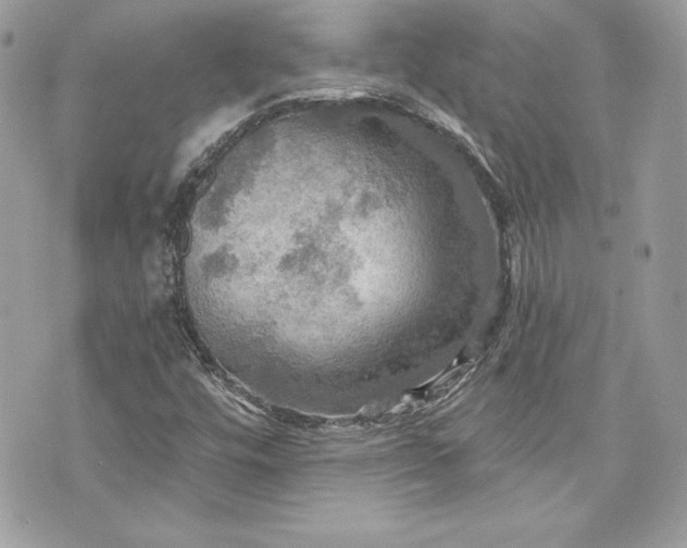 X0000075831448200609291410