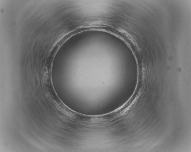 X0000075831449200609291410