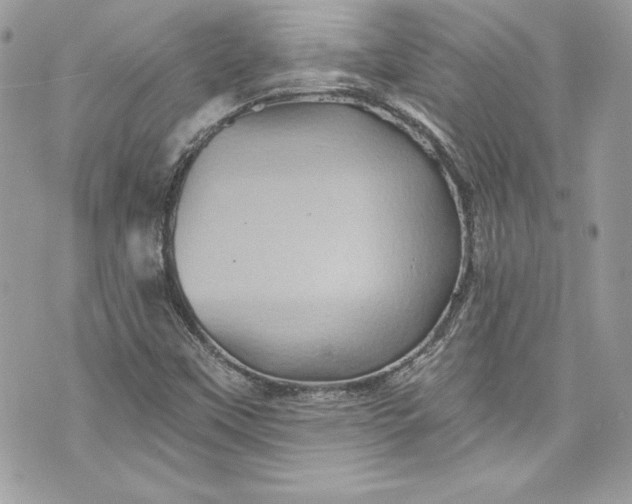 X0000075831451200609291410