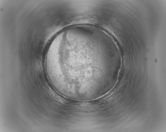 X0000075831452200609291410