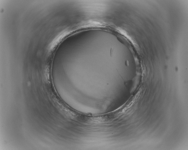 X0000075831455200609291410