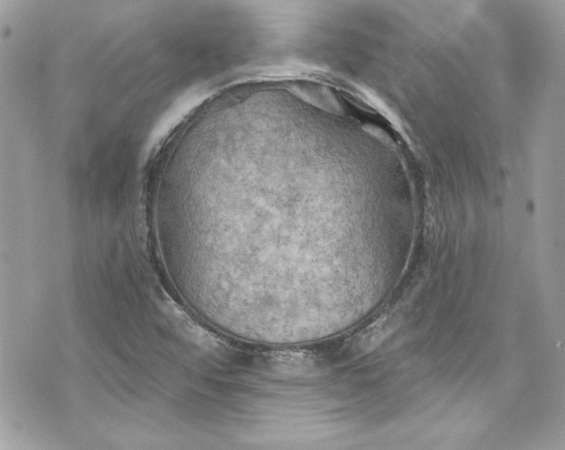 X0000075831456200609291410