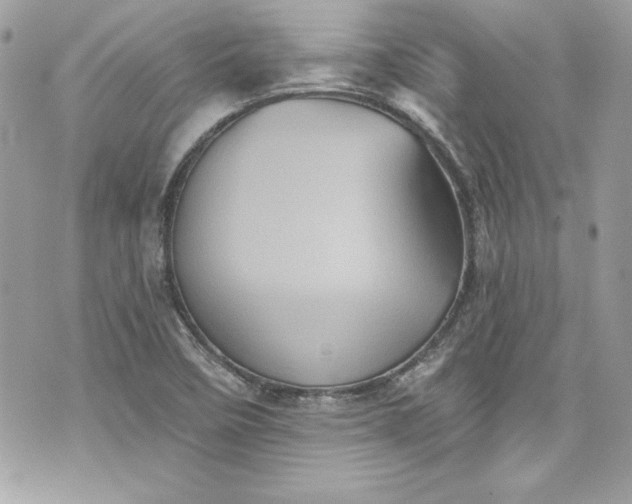 X0000075831458200609291410