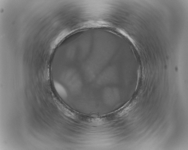 X0000075831459200609291410