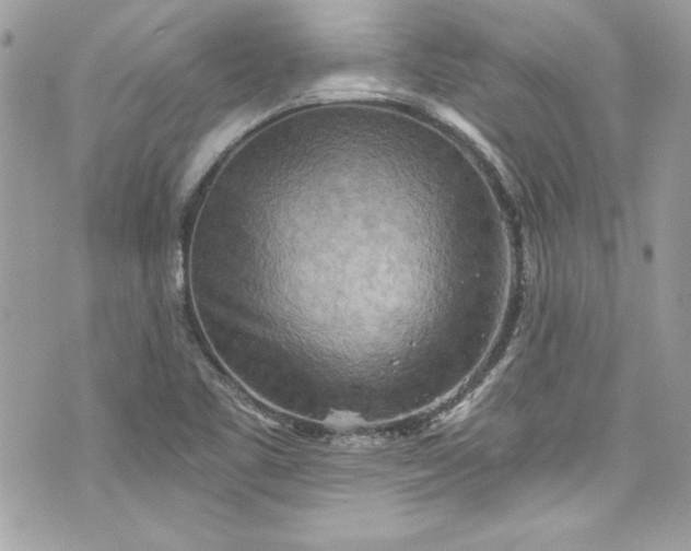 X0000075831461200609291410