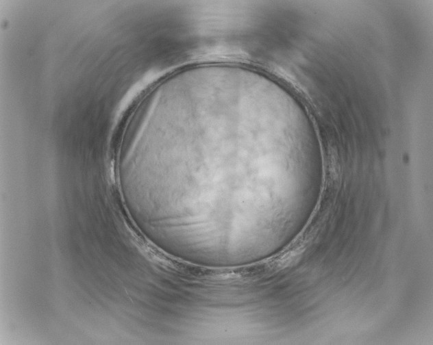 X0000075831462200609291410