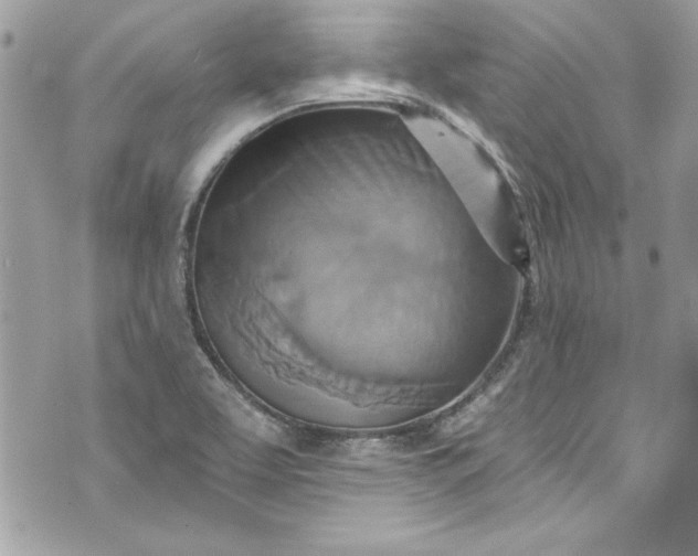 X0000075831463200609291410