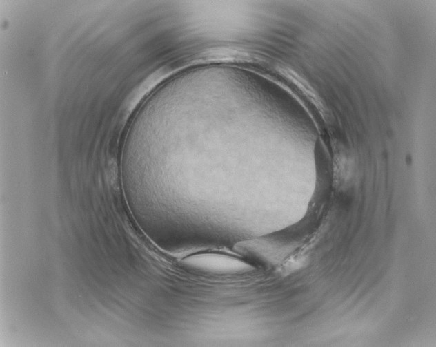 X0000075831465200609291410