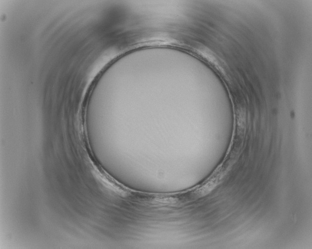 X0000075831466200609291409